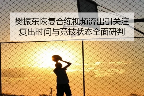 樊振东恢复合练视频流出引关注 复出时间与竞技状态全面研判